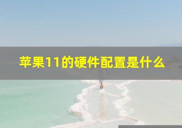 苹果11的硬件配置是什么