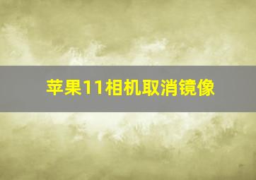 苹果11相机取消镜像