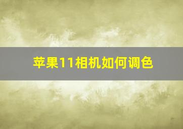 苹果11相机如何调色