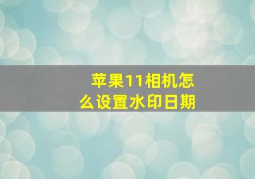 苹果11相机怎么设置水印日期