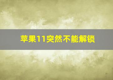 苹果11突然不能解锁