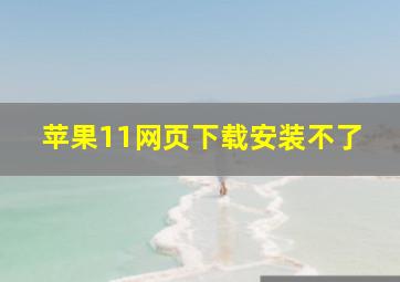 苹果11网页下载安装不了