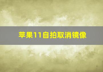 苹果11自拍取消镜像