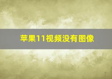 苹果11视频没有图像