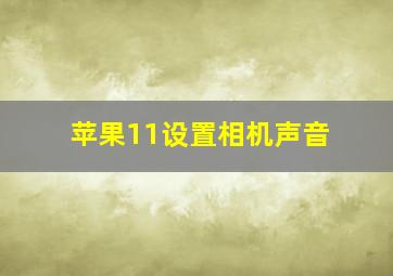 苹果11设置相机声音