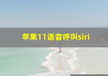 苹果11语音呼叫siri