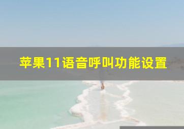 苹果11语音呼叫功能设置