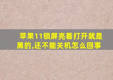 苹果11锁屏亮着打开就是黑的,还不能关机怎么回事