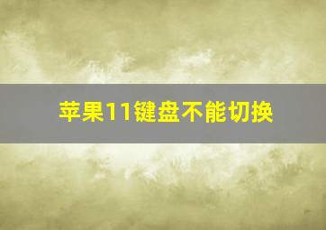 苹果11键盘不能切换