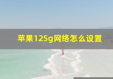 苹果125g网络怎么设置