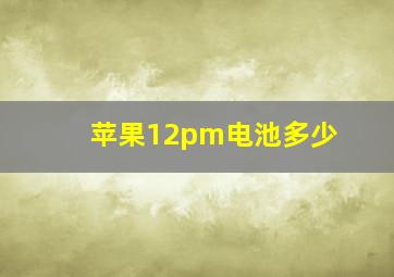 苹果12pm电池多少