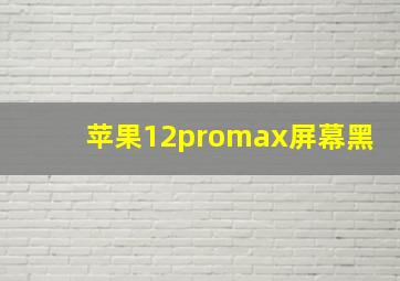 苹果12promax屏幕黑