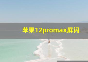 苹果12promax屏闪