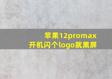 苹果12promax开机闪个logo就黑屏