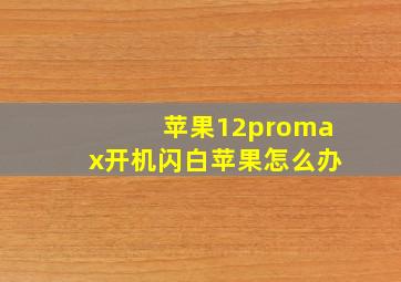 苹果12promax开机闪白苹果怎么办