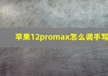 苹果12promax怎么调手写