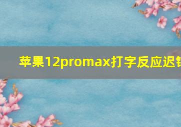 苹果12promax打字反应迟钝