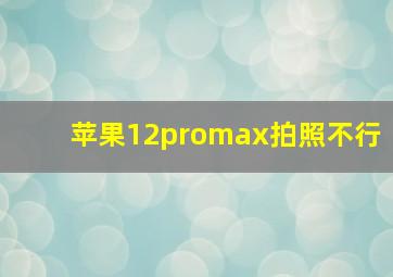 苹果12promax拍照不行