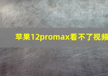 苹果12promax看不了视频