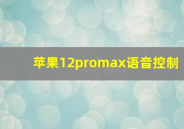 苹果12promax语音控制