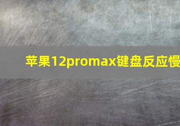 苹果12promax键盘反应慢