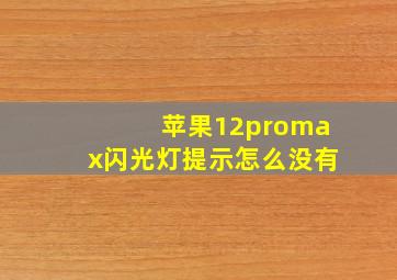 苹果12promax闪光灯提示怎么没有