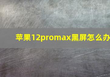 苹果12promax黑屏怎么办