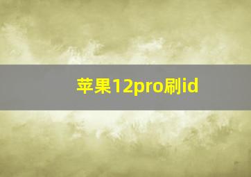 苹果12pro刷id