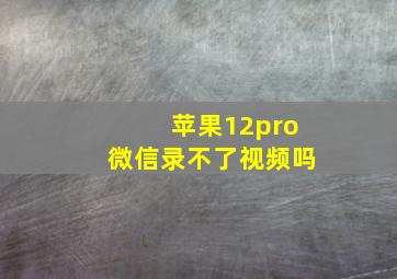 苹果12pro微信录不了视频吗