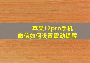 苹果12pro手机微信如何设置震动提醒