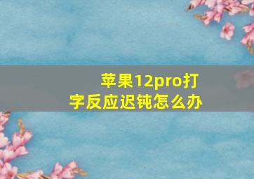 苹果12pro打字反应迟钝怎么办