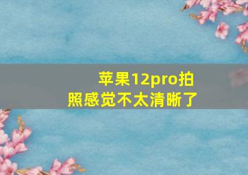 苹果12pro拍照感觉不太清晰了