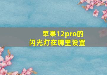 苹果12pro的闪光灯在哪里设置