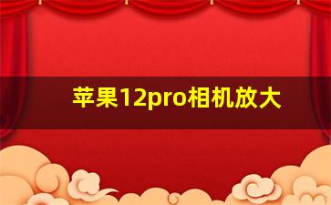 苹果12pro相机放大