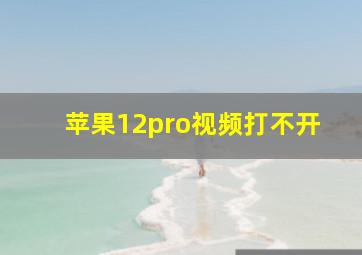 苹果12pro视频打不开