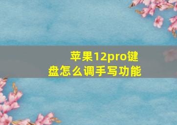 苹果12pro键盘怎么调手写功能