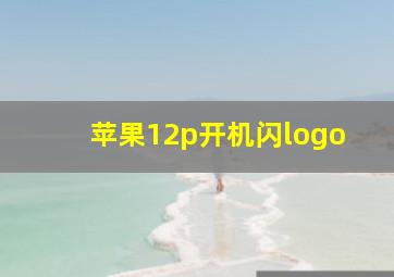 苹果12p开机闪logo