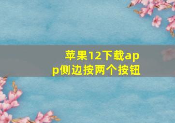 苹果12下载app侧边按两个按钮