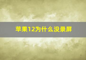 苹果12为什么没录屏