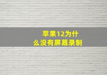 苹果12为什么没有屏幕录制