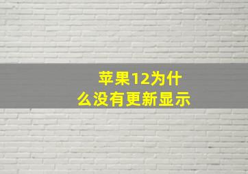 苹果12为什么没有更新显示