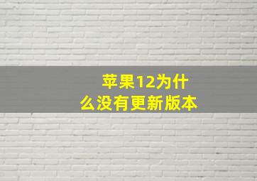 苹果12为什么没有更新版本