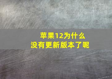 苹果12为什么没有更新版本了呢