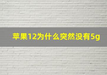 苹果12为什么突然没有5g