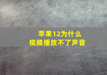 苹果12为什么视频播放不了声音