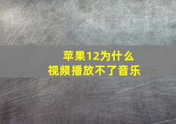 苹果12为什么视频播放不了音乐