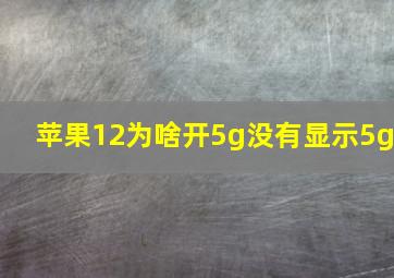 苹果12为啥开5g没有显示5g