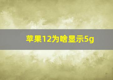 苹果12为啥显示5g