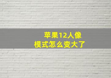 苹果12人像模式怎么变大了