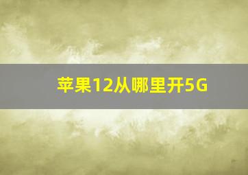 苹果12从哪里开5G